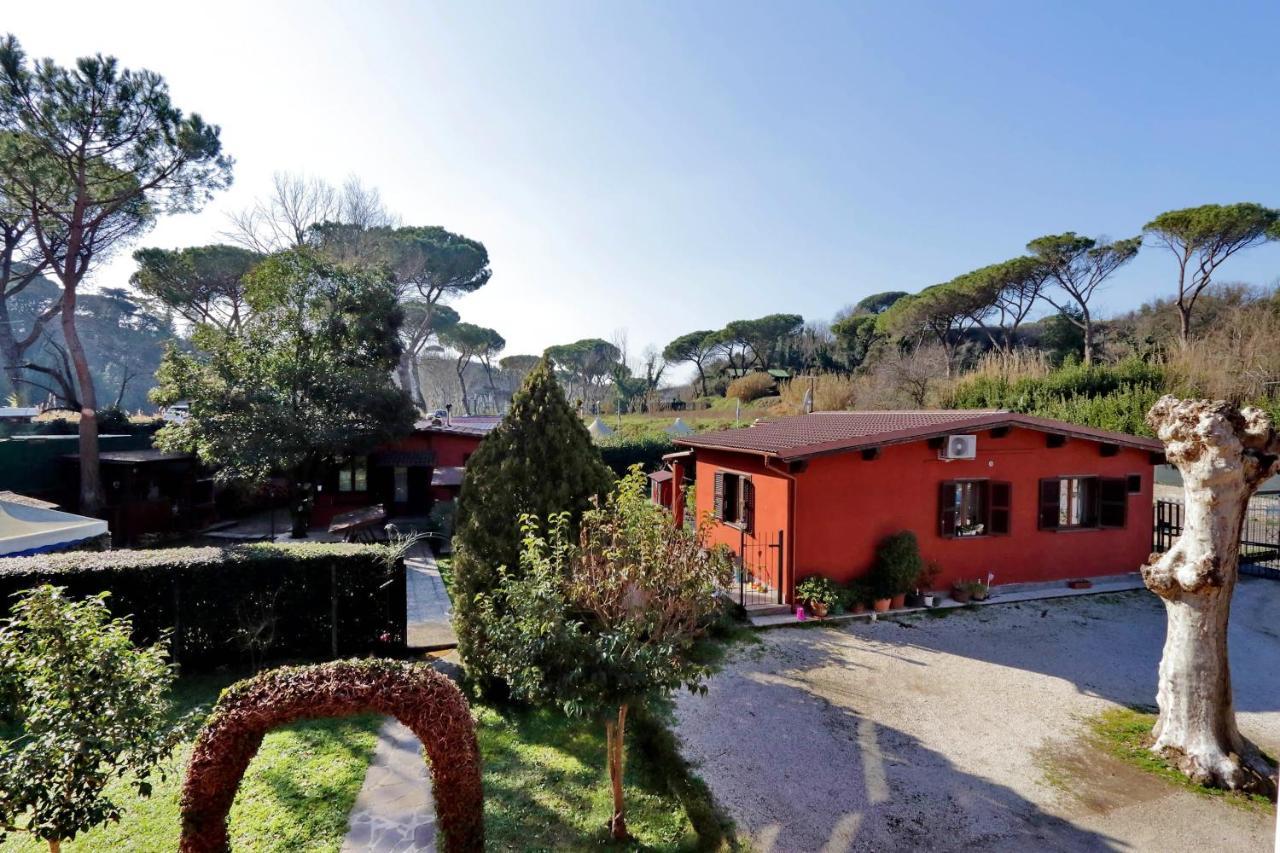 Bed & Breakfast Antico Platano Roma